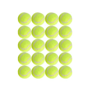 Dog Tennis Balls 20 Pack Pet Tennis Ball for Small Dogs Premium Fetch Toy Non-Toxic Non-Abrasive Material