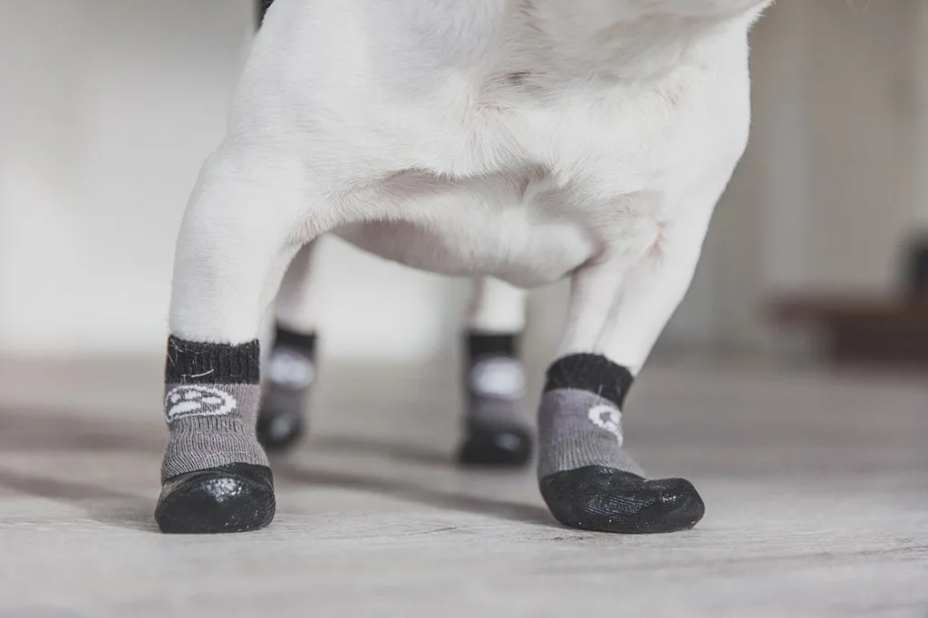 Grippers Non Slip Dog Socks