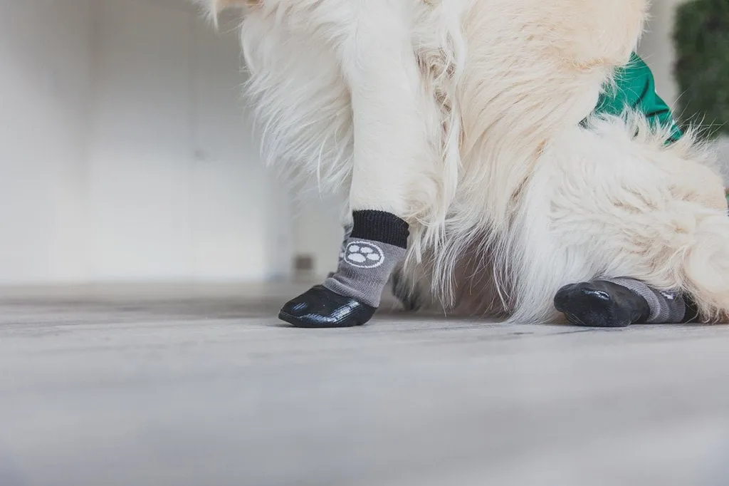 Grippers Non Slip Dog Socks