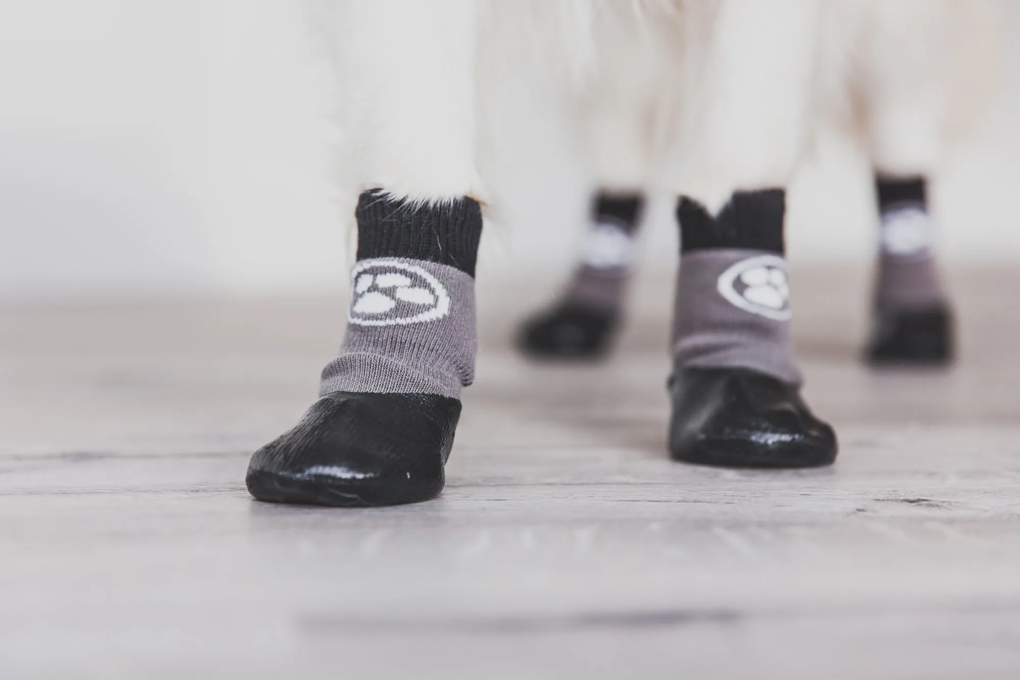 Grippers Non Slip Dog Socks