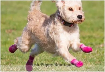 Pink Heather Sport PAWks - Anti-Slip Socks for Dogs